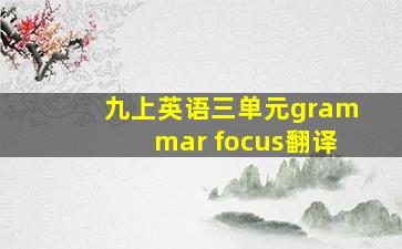 九上英语三单元grammar focus翻译